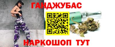 гашик Новозыбков
