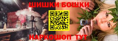 гашик Новозыбков