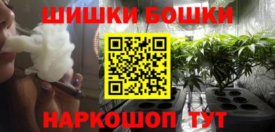 гашик Новозыбков