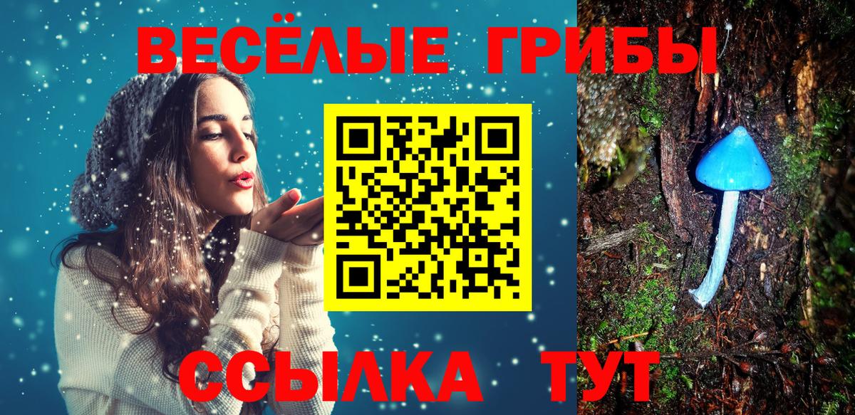 Галлюциногенные грибы Psilocybine cubensis  Псилоцибиновые грибы MAGIC MUSHROOMS  Великий Новгород  как найти наркотики  Вход с VPN 