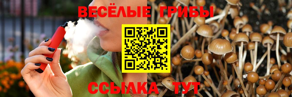 Псилоцибиновые грибы Psilocybine cubensis Великий Новгород